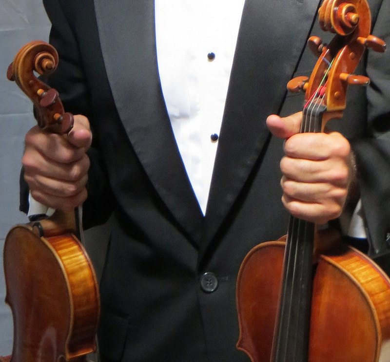 violin, viola, fiddle